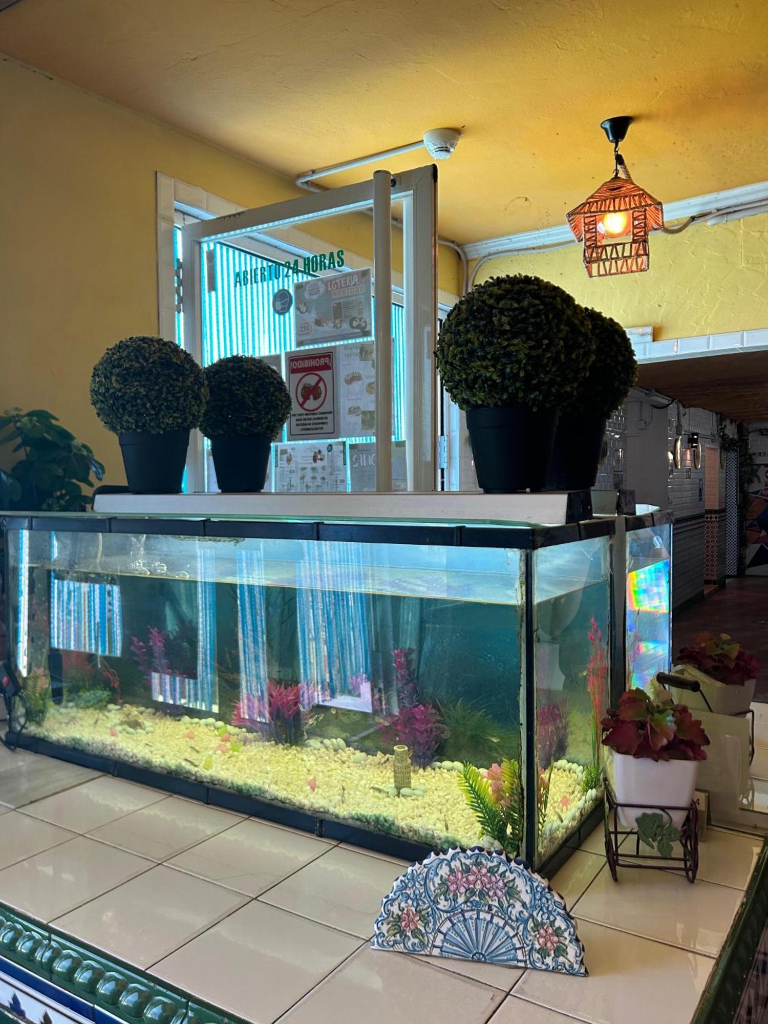 Hostal Avenida Andalucia - Solo Adultos Sevilla Kültér fotó